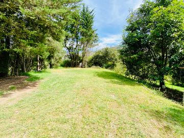 Hacienda de venta 2Ha. en Guayllabamba a $50 cada m/2 (con plantaciones de aguacate, limón, chirimoy