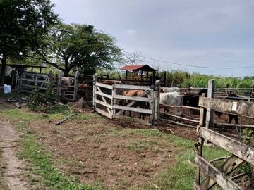 Rancho en Venta en Santa Maria, Conkal Yucatán