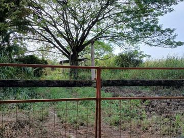 Rancho en Venta en Santa Maria, Conkal Yucatán