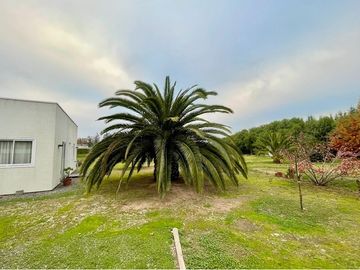 Paraíso familiar en Talagante: Parcela de 5.924 m²