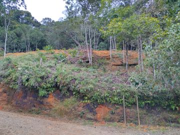 LOTE ESQUINERO EN DAPA CONDADO BEVERLY