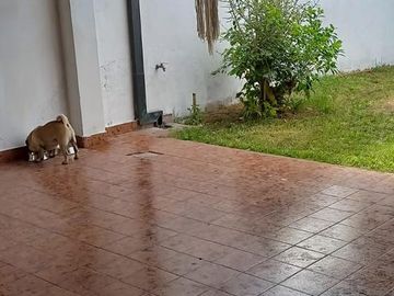 Casa 3 ambientes en zona centrica de Ezeiza