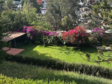 Departamento en Renta Av Toluca Olivar de los Padres tipo LOFTc/Terraza.