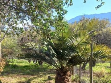 Hijuelas - Valparaíso - V Región/Oasis de la Campana - Las Palmas de Ocoa - Parcela - Venta