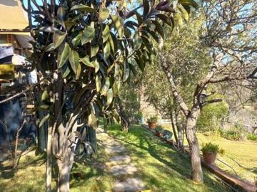 Hijuelas - Valparaíso - V Región/Oasis de la Campana - Las Palmas de Ocoa - Parcela - Venta