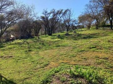 Hijuelas - Valparaíso - V Región/Oasis de la Campana - Las Palmas de Ocoa - Parcela - Venta