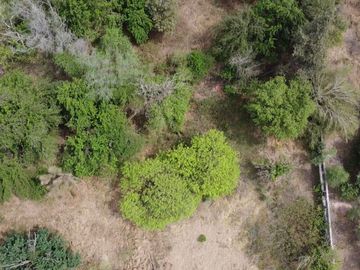 VENTA LOTE EN ZONA NORTE IDEAL DERARROLLO 6.000 M2