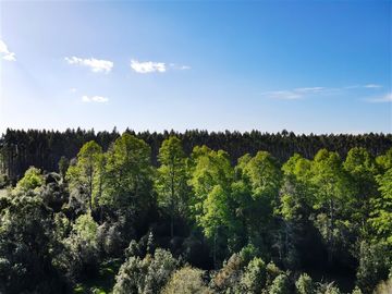 Departamento en Venta en Sector Lago Ranco (Con orilla a Rio Pichico)