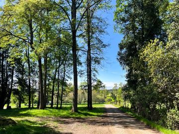 Departamento en Venta en Sector Lago Ranco (Con orilla a Rio Pichico)