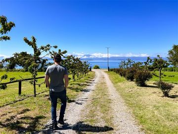 Departamento en Venta en Sector Lago Ranco (Con orilla a Rio Pichico)