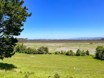 Departamento en Venta en Sector Lago Ranco (Con orilla a Rio Pichico)