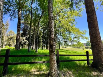 Departamento en Venta en Sector Lago Ranco (Con orilla a Rio Pichico)