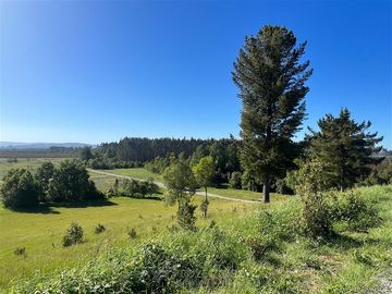 Departamento en Venta en Sector Lago Ranco (Con orilla a Rio Pichico)