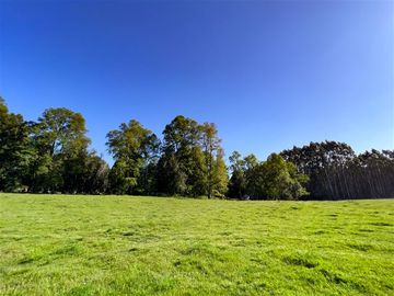 Casa en Venta en Sector Lago Ranco (Con orilla a Rio Pichico)