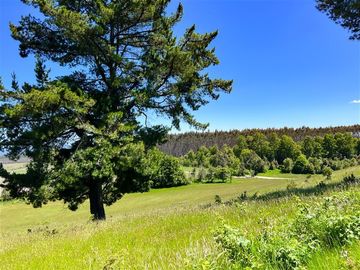 Casa en Venta en Sector Lago Ranco (Con orilla a Rio Pichico)