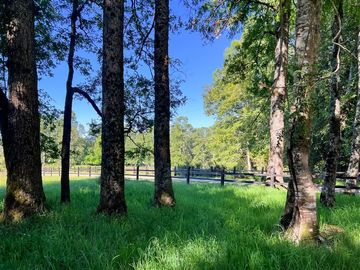 Casa en Venta en Sector Lago Ranco (Con orilla a Rio Pichico)