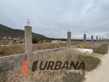LOMAS DE GUANAQUEROS SITIO 5000M2 (105)