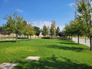 Terreno en venta en Punta Bosque, Saltillo, Coahuila de Zaragoza