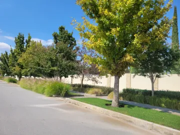 Terreno en venta en Punta Bosque, Saltillo, Coahuila de Zaragoza