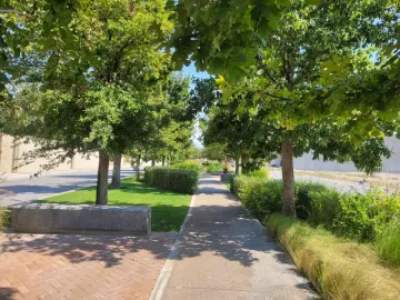 Terreno en venta en Punta Bosque, Saltillo, Coahuila de Zaragoza