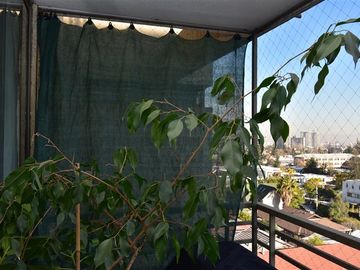 Departamento en Venta en Madrigal/Colón
