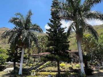 VENTA de FINCAS en VIJES