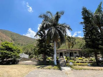 VENTA de FINCAS en VIJES
