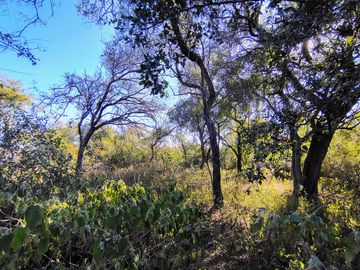 Atención Oportunidad Terreno de 4 Hectáreas en Venta, Acequia y Gas Natural, Traslasierra