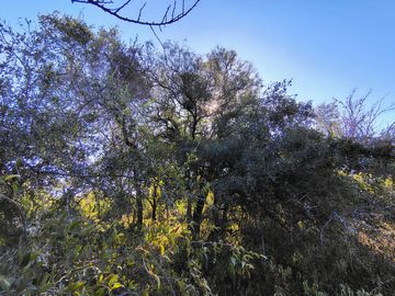 Atención Oportunidad Terreno de 4 Hectáreas en Venta, Acequia y Gas Natural, Traslasierra