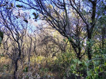 Atención Oportunidad Terreno de 4 Hectáreas en Venta, Acequia y Gas Natural, Traslasierra