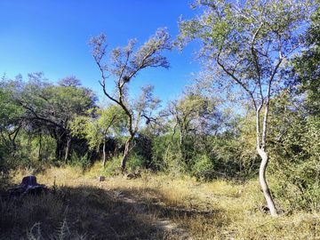 Atención Oportunidad Terreno de 4 Hectáreas en Venta, Acequia y Gas Natural, Traslasierra