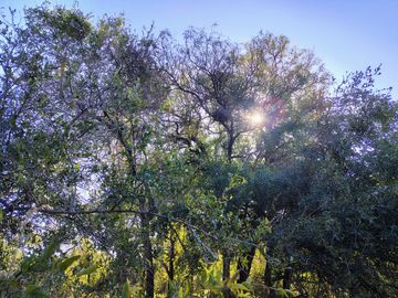 Atención Oportunidad Terreno de 4 Hectáreas en Venta, Acequia y Gas Natural, Traslasierra