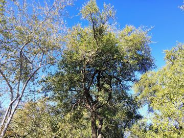 Atención Oportunidad Terreno de 4 Hectáreas en Venta, Acequia y Gas Natural, Traslasierra