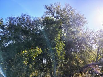 Atención Oportunidad Terreno de 4 Hectáreas en Venta, Acequia y Gas Natural, Traslasierra