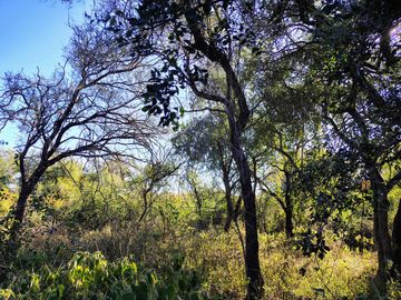 Atención Oportunidad Terreno de 4 Hectáreas en Venta, Acequia y Gas Natural, Traslasierra