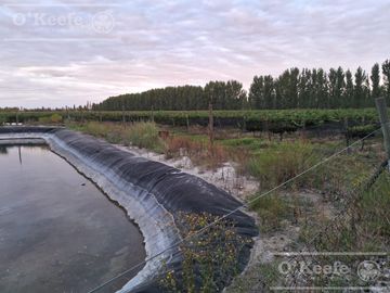 Chacra  en venta de 46 has en San Rafael, Mendoza
