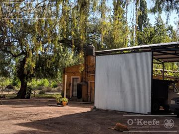 Chacra  en venta de 46 has en San Rafael, Mendoza