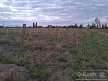 Chacra  en venta de 46 has en San Rafael, Mendoza