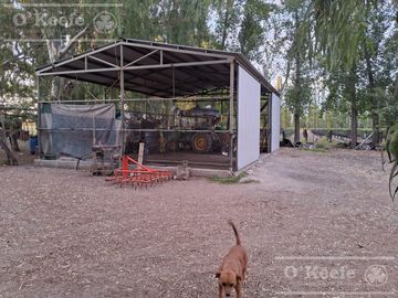 Chacra  en venta de 46 has en San Rafael, Mendoza