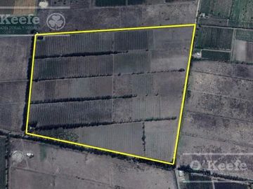 Chacra  en venta de 46 has en San Rafael, Mendoza