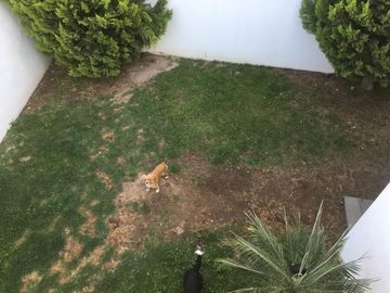 CASA EN VENTA, EN FRACC. SIERRA AZUL
