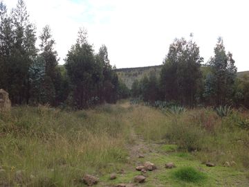 Venta Terreno de 9 hectáreas en Cayambe sector Guachalá