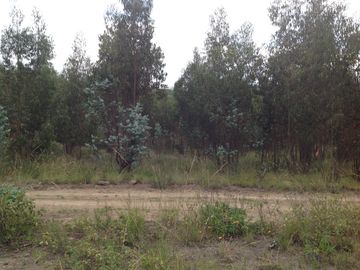 Venta Terreno de 9 hectáreas en Cayambe sector Guachalá