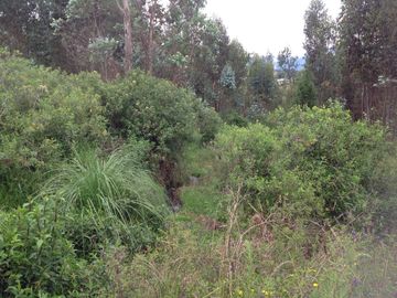 Venta Terreno de 9 hectáreas en Cayambe sector Guachalá