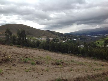 Venta Terreno de 9 hectáreas en Cayambe sector Guachalá