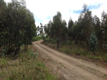 Venta Terreno de 9 hectáreas en Cayambe sector Guachalá
