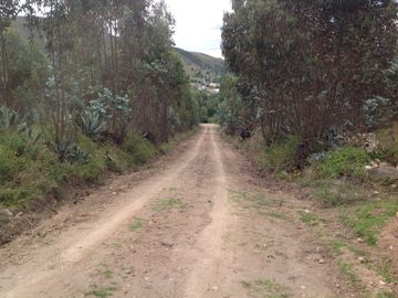 Venta Terreno de 9 hectáreas en Cayambe sector Guachalá