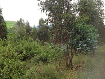 Venta Terreno de 9 hectáreas en Cayambe sector Guachalá