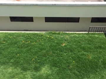Se vende amplia casa en el norte de Quito, sector San Fernando.