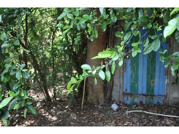 Hermosa Finca campestre en Santa Marta, ideal para descansar G-31